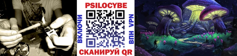 Галлюциногенные грибы GOLDEN TEACHER  ОМГ ОМГ ССЫЛКА  Балтийск 