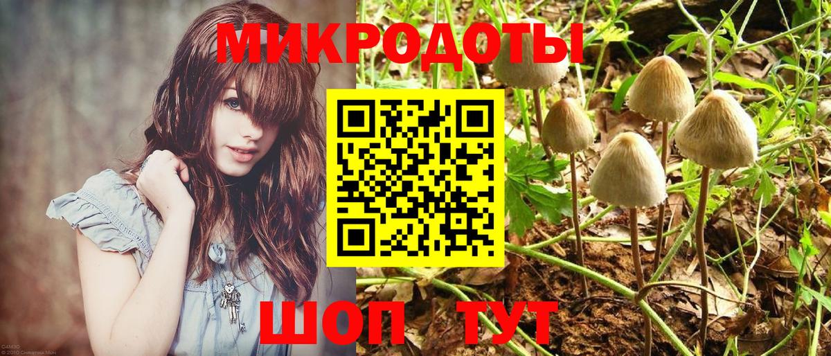 Галлюциногенные грибы мухоморы Балтийск