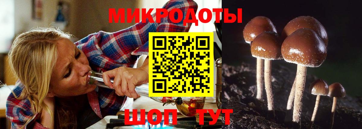 Галлюциногенные грибы Psilocybine cubensis  Вход с VPN  Балтийск  где продают   Псилоцибиновые грибы мицелий 